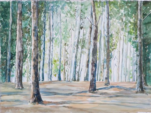 Lilian Brandenburger